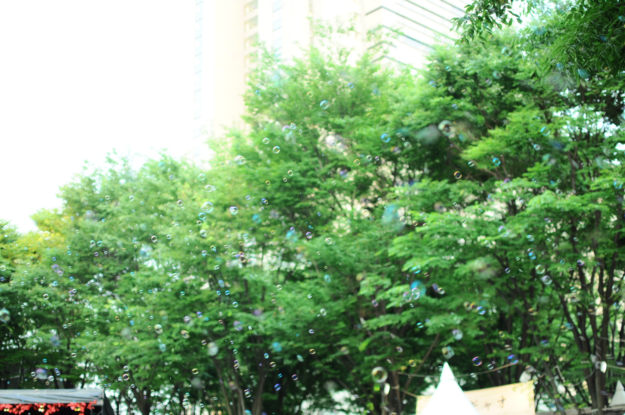『FREE VIVA!』より