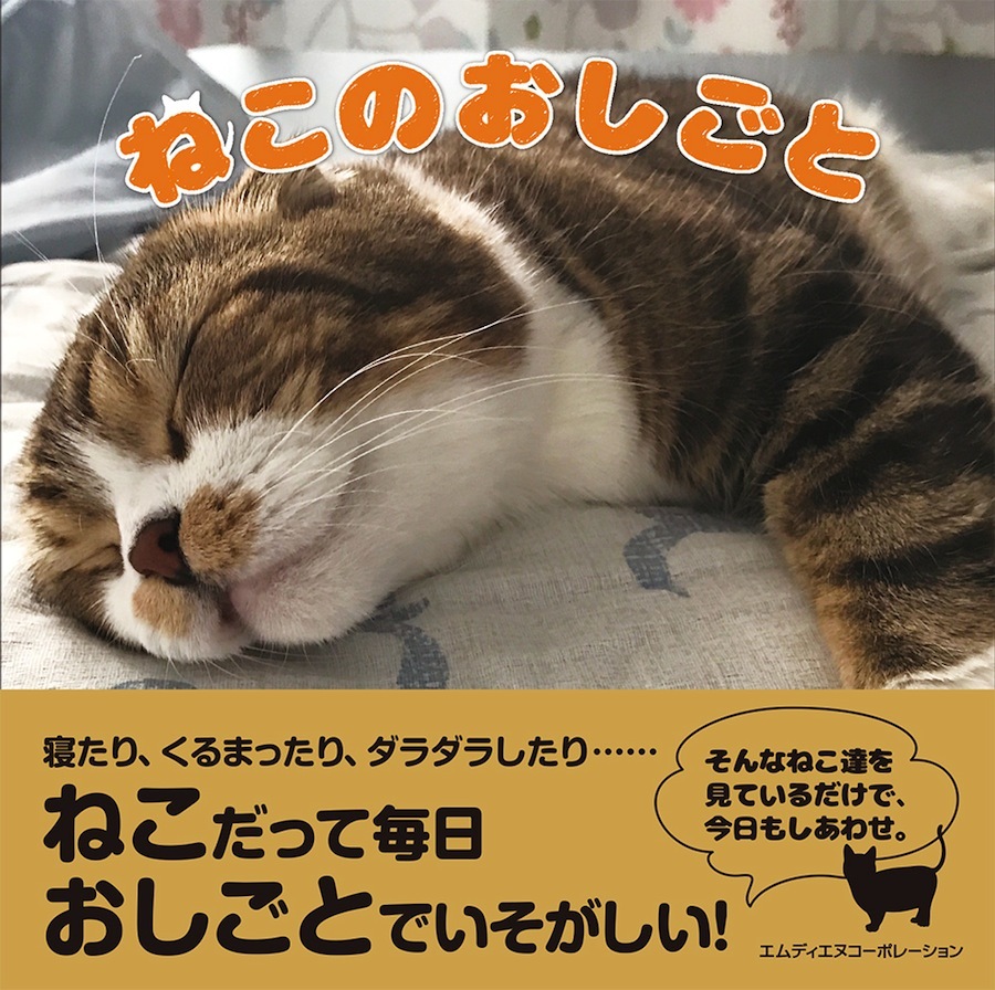 『ねこのおしごと』