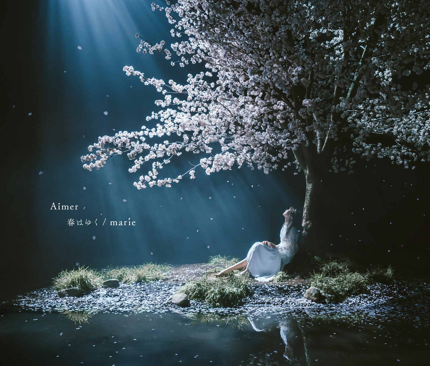 Aimer 新曲 春はゆく ミュージックビデオ アートワーク公開 劇場版 Fate Stay Night Heaven S Feel Spring Song主題歌 Spice エンタメ特化型情報メディア スパイス