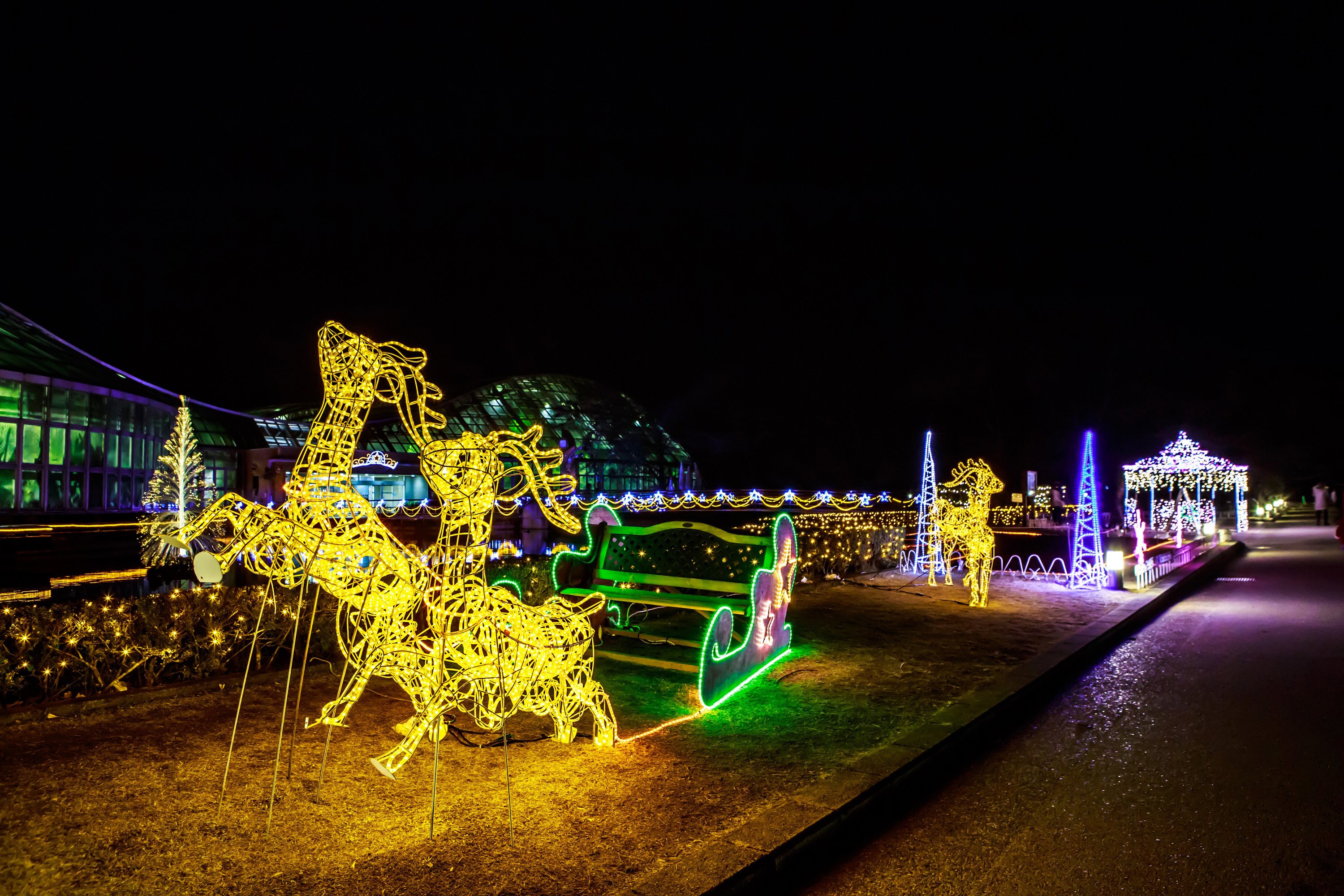 クリスマスシーズンの京都 穴場デートにおすすめ 京都府立植物園 イルミネーション18 Spice エンタメ特化型情報メディア スパイス