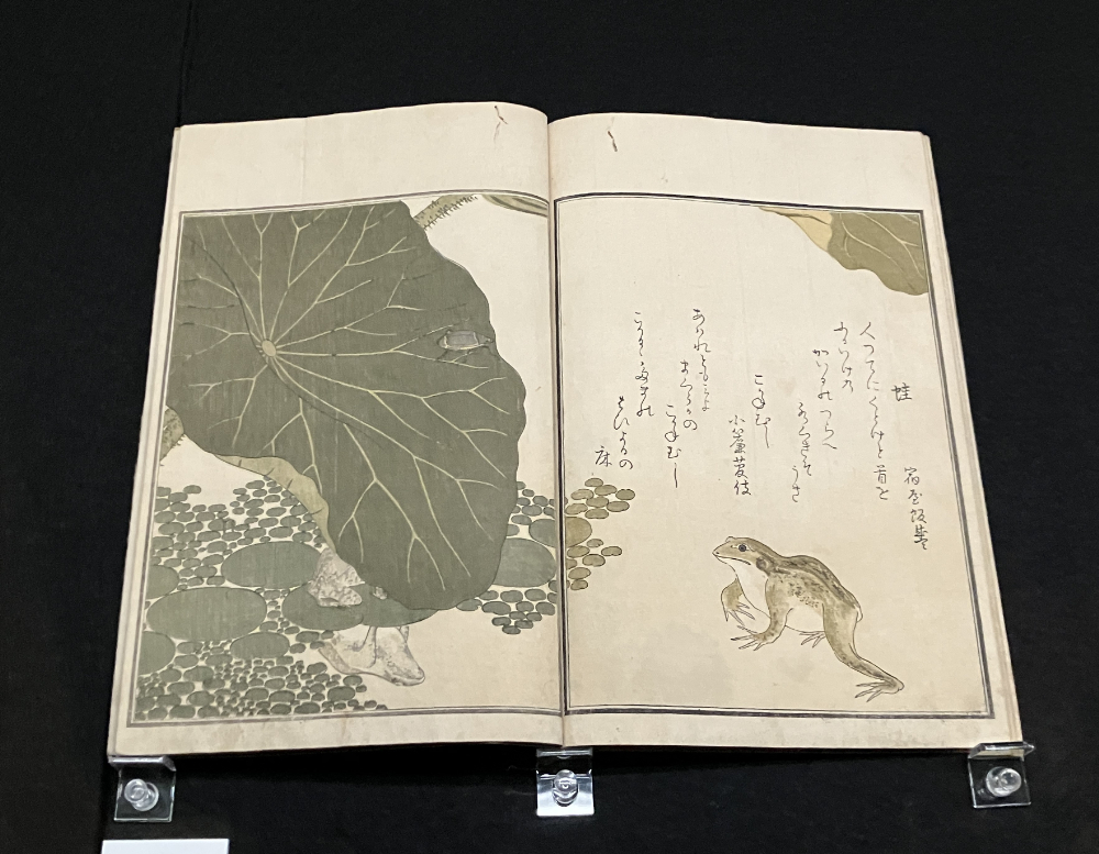 宿屋飯盛撰／喜多川歌麿画『画本虫撰』2冊のうち1冊　天明8年（1788）正月　※前期（4/22-5/18）：千葉市美術館、後期は別本を展示