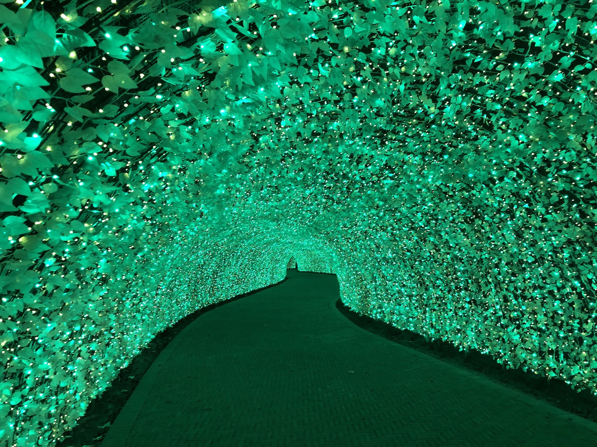 「100ｍの光のトンネル」