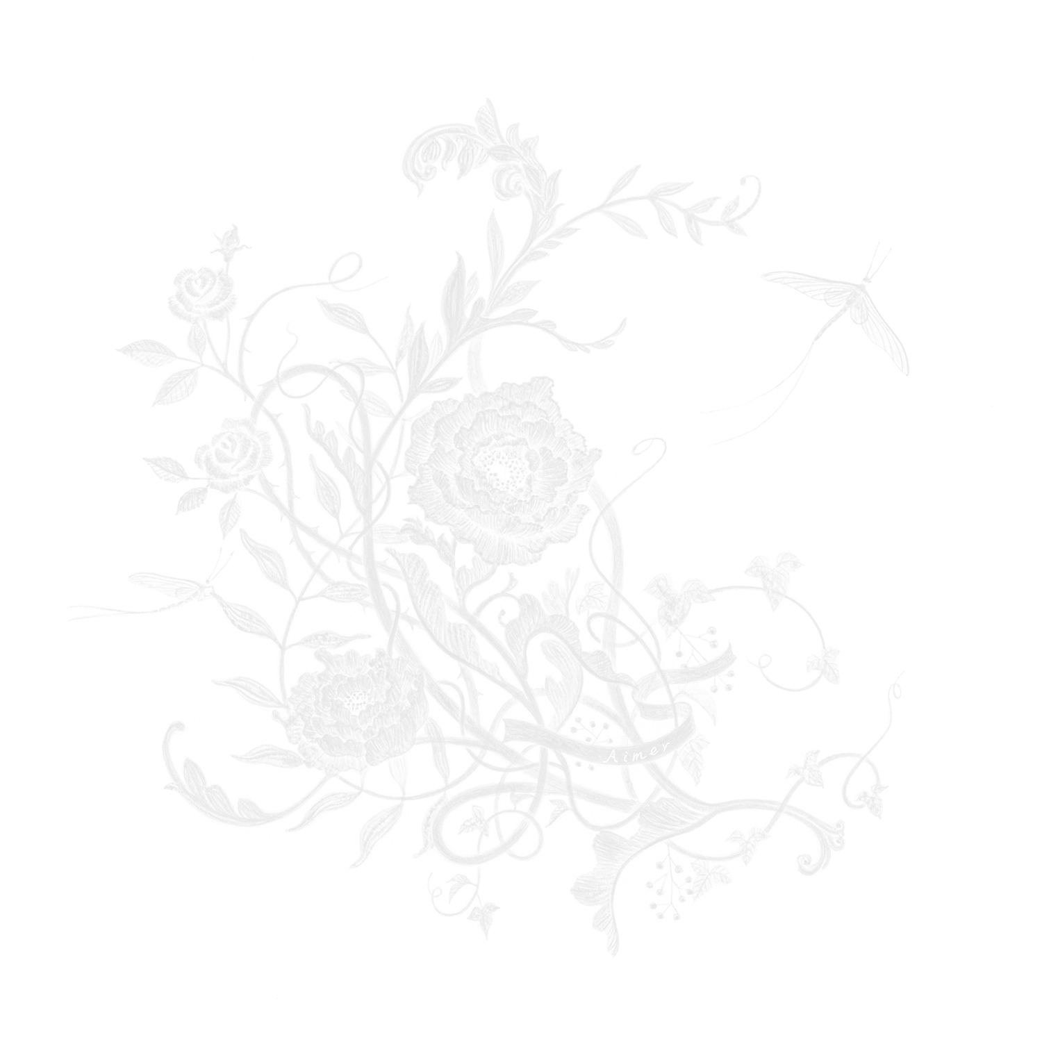 Aimer 23rdシングル「白色蜉蝣」通常盤