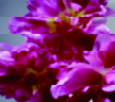 Mondo Grosso – 何度でも新しく生まれる – 11 x File (88.2kHz