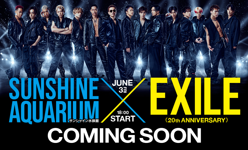EXILE