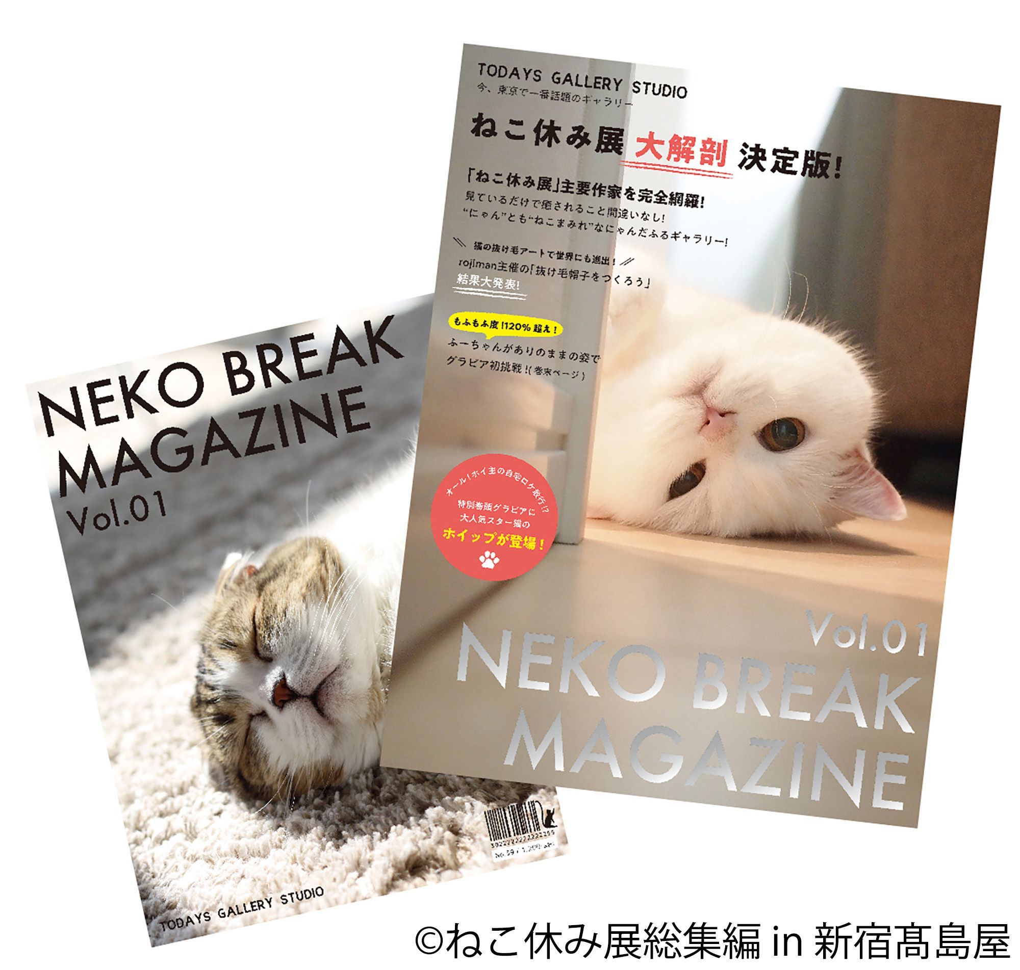 ねこ休み展』総集編が新宿高島屋で開催 トータルSNSフォロワー数300万 