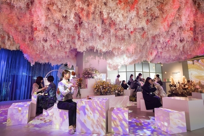ピンク色の珍しい「桜ぜんざい」や「花みくじ」が期間限定で登場　『NAKED FLOWERS FOR YOU』