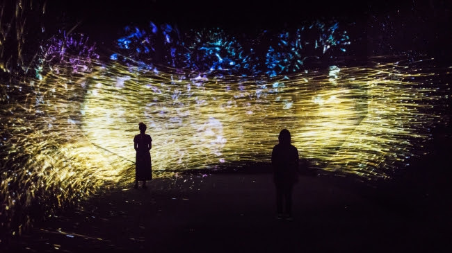 The Way of the Sea, そして超越する空間 - Colors of Life / The Way of the Sea, Transcending Space - Colors of Life  teamLab, 2018, Interactive Digital Installation, Endless, Sound: Hideaki Takahashi