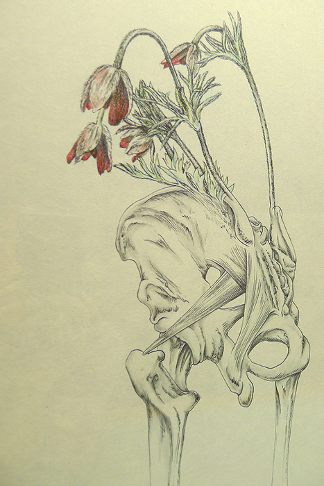  ©Tabaimo / Courtesy of Gall束芋『flow-wer 026』2015年 和紙に墨、蜜蝋（クレヨン）、色鉛筆、鉛筆 ©Tabaimo / Courtesy of Gallery Koyanagiery Koyanagi