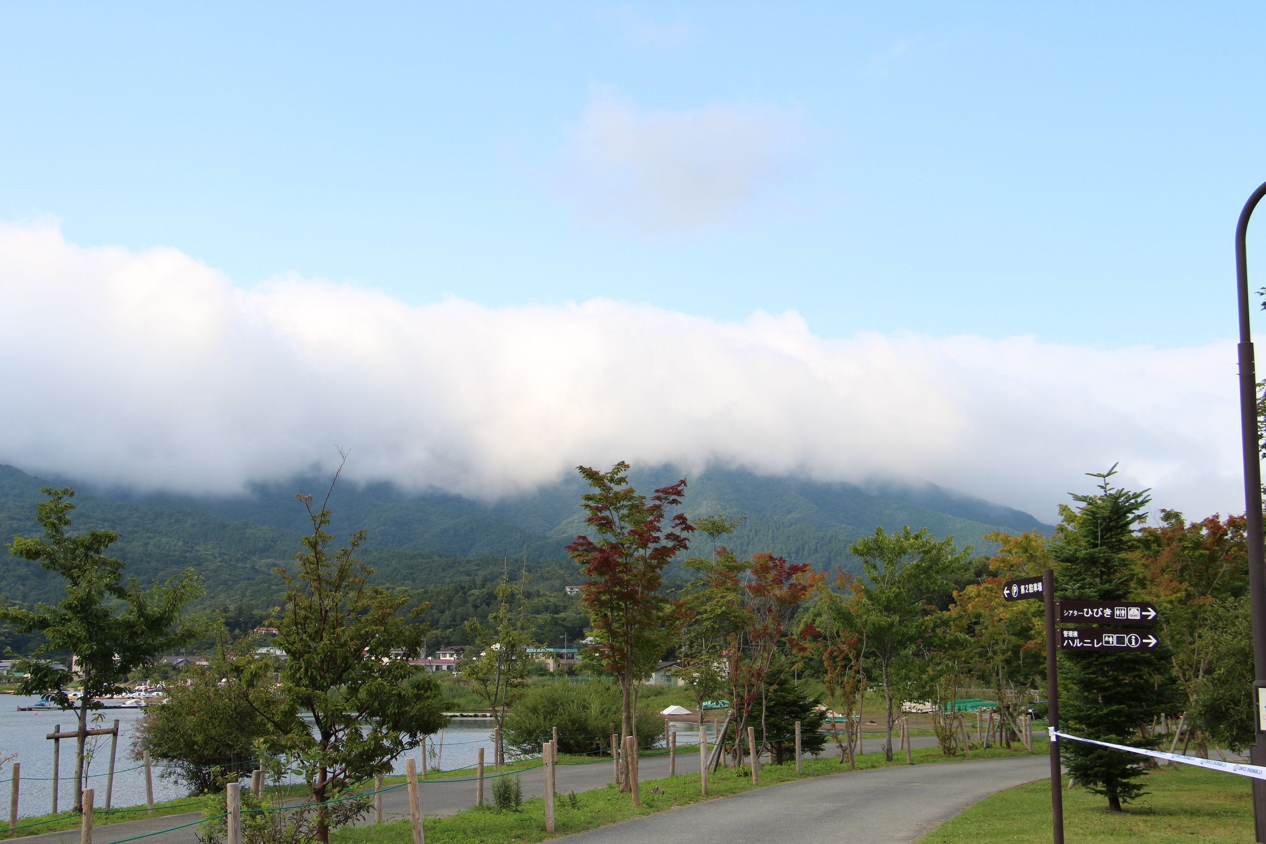 緑が生い茂る山々