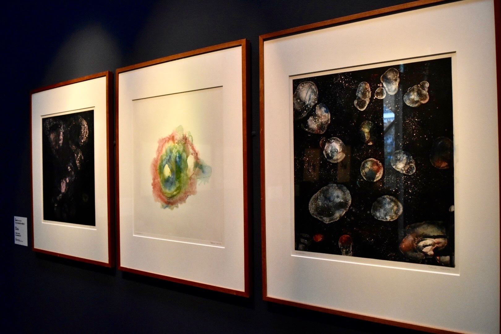 右から：《Constellation（星座Ⅰ）》 駒井哲郎 昭和46年 東京都現代美術館蔵、《Constellation（星座 II）》 同作者 同年 同館蔵、《Constellation（星座 Ⅲ）》 同作者 同年 同館蔵