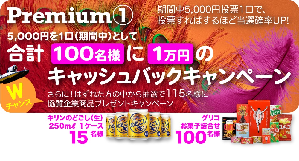 投票すればするほど豪華景品を手に入れる確率が上がる
