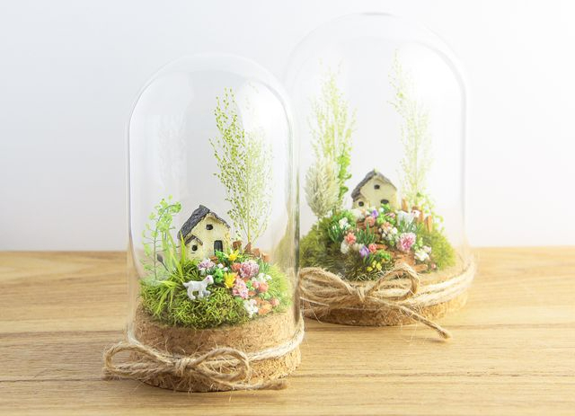 TENORIUM（R）／⾃然素材の苔と花で作るグリーンインテリア