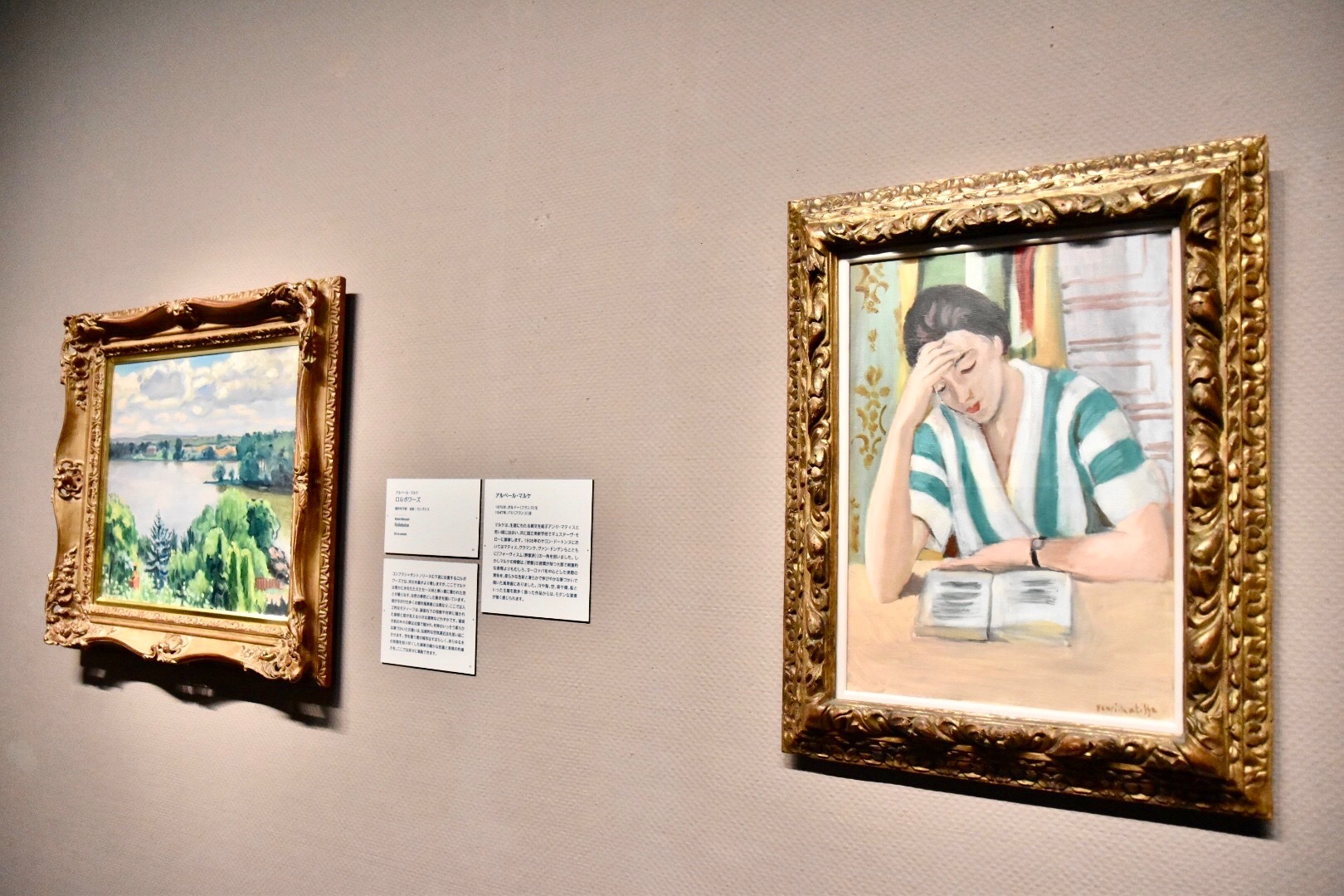右：アンリ・マティス　《緑と白のストライプのブラウスを着た読書する若い女》　1924年　吉野石膏コレクション　左奥：アルベール・マルケ　《ロルボワーズ》　制作年不詳　吉野石膏コレクション