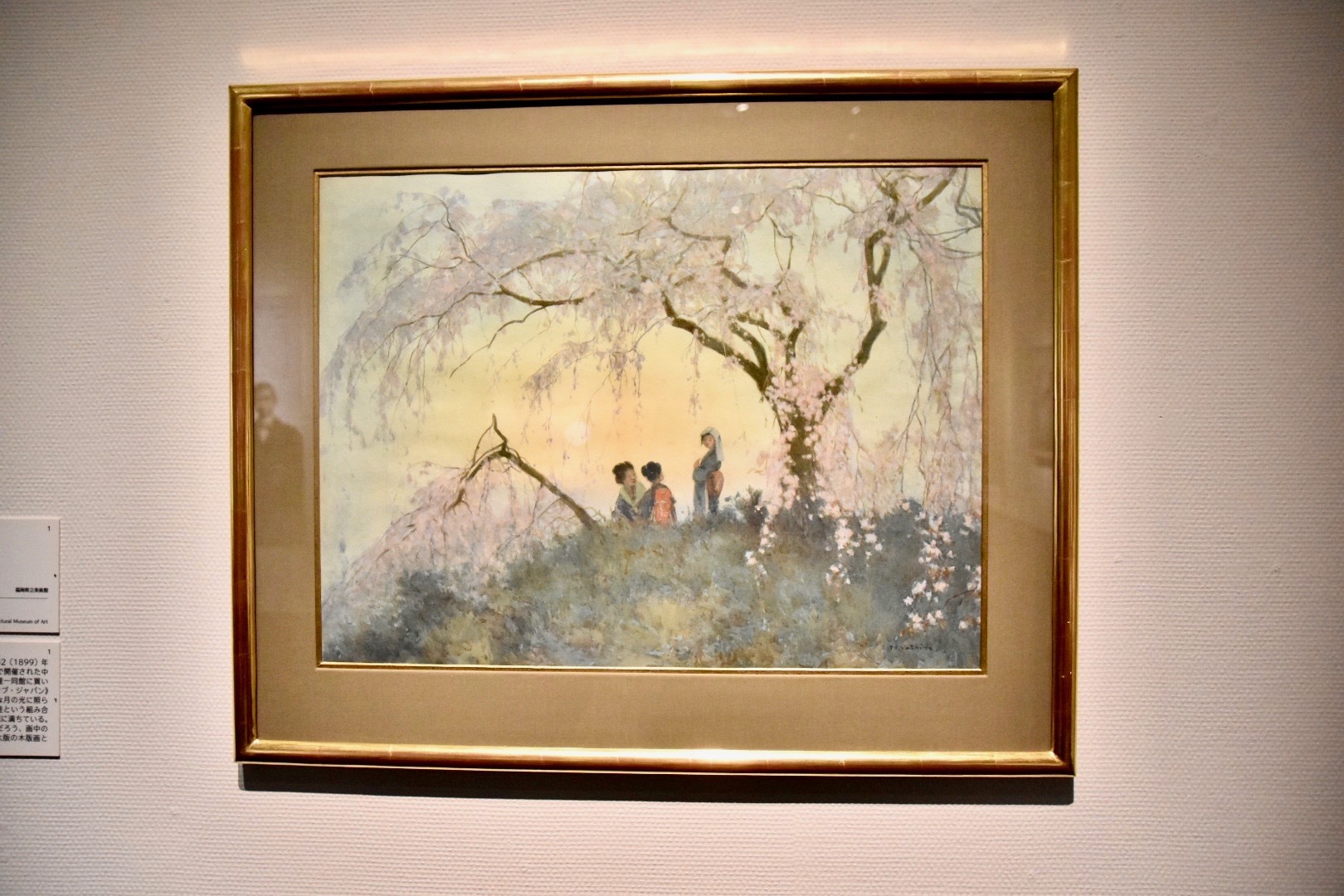 《雲井桜》1899年頃　福岡県立美術館蔵（前期展示：1月26日〜2月28日）