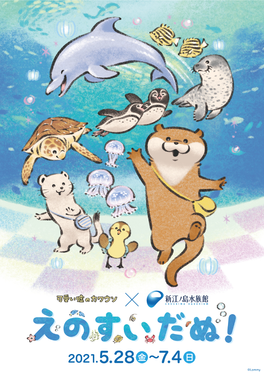 可愛い嘘のカワウソ 新江ノ島水族館 えのすいだぬ 開催決定 Spice エンタメ特化型情報メディア スパイス