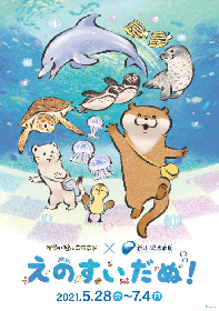 「可愛い嘘のカワウソ」× 新江ノ島水族館『えのすいだぬ！』開催決定