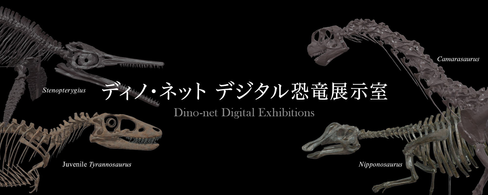 恐竜骨格を360度自由に鑑賞できる 迫力満点のvr体験 ディノ ネット デジタル恐竜展示室 ネット De アート 第15館 Spice エンタメ特化型情報メディア スパイス