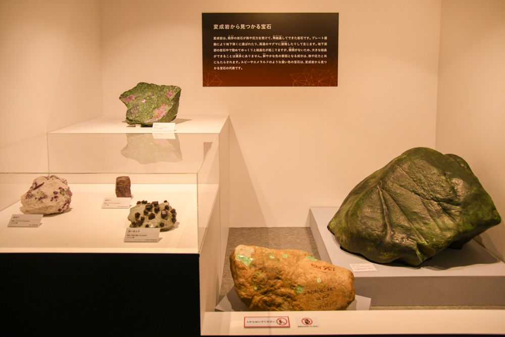 「変成岩から見つかる宝石」の展示