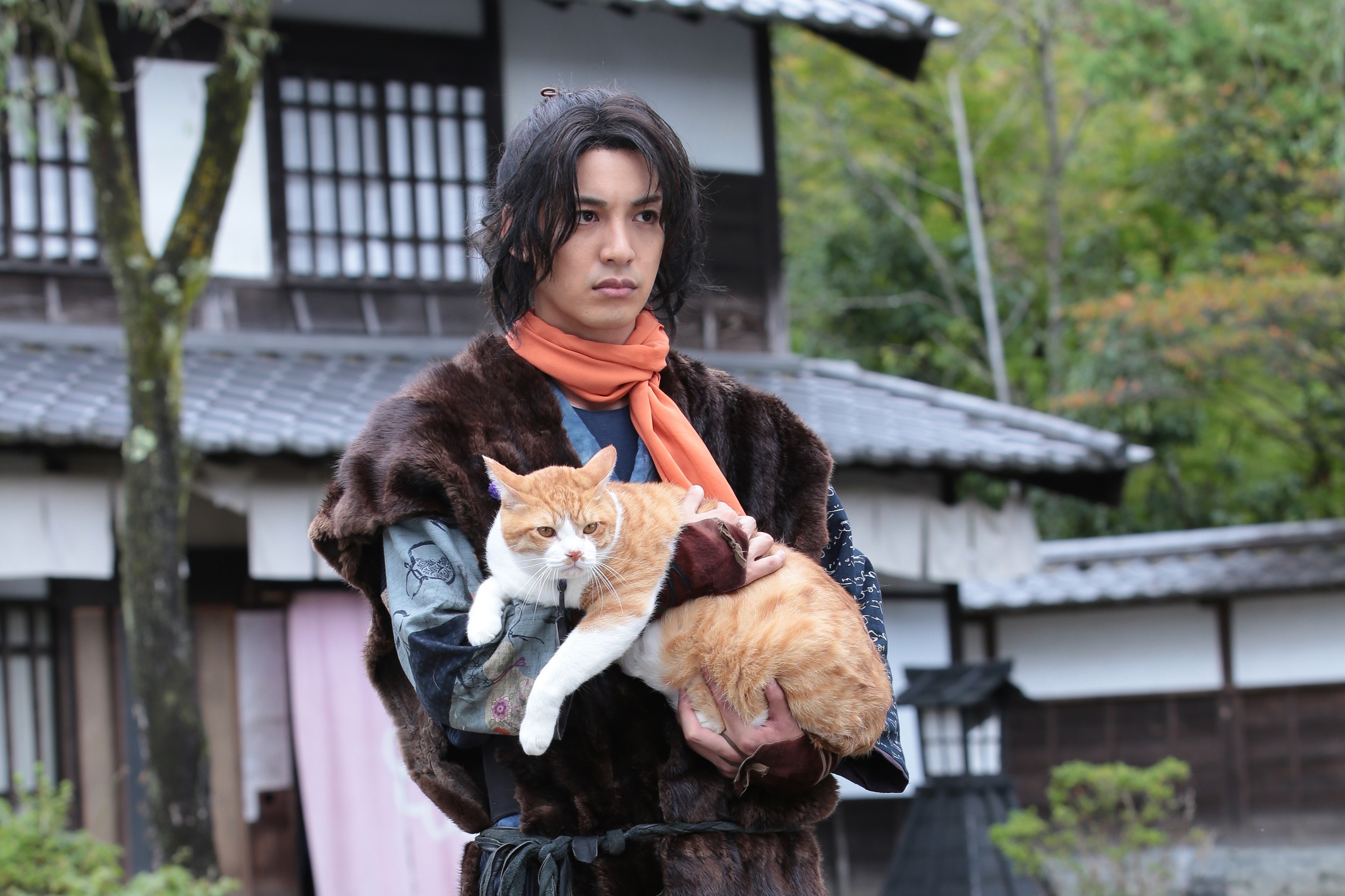 猫 忍者 異色の 癒しアクション時代劇 で大野拓朗が映画初主演 猫忍 ねこにん ドラマ 映画で公開へ Spice エンタメ特化型情報メディア スパイス