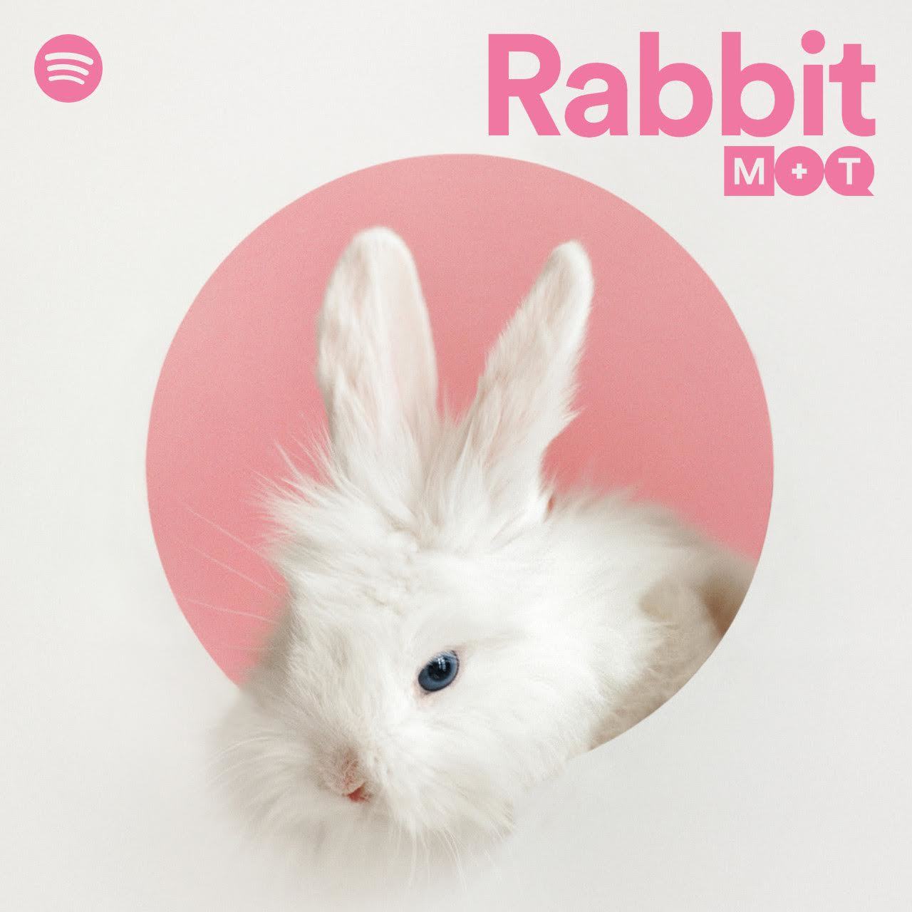 『Rabbit』
