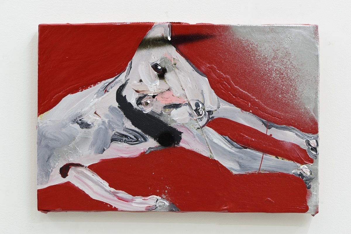 2017年展示予定昨品 近藤亜樹 Sleepy Dog 2016 the artist courtesy of ShugoArts