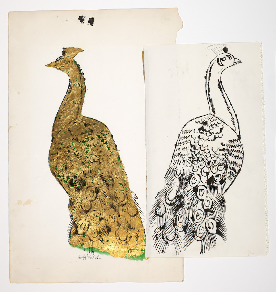 アンディ・ウォーホル 《孔雀》 1957年頃 アンディ・ウォーホル美術館蔵 (C)The Andy Warhol Foundation for the Visual Arts, Inc. / Artists Rights Society (ARS), New York