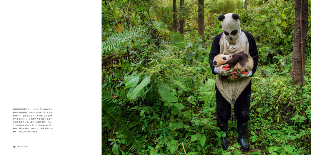 かわいいだけじゃない 野生動物としてのパンダに迫る写真集 Panda Love 知られざるパンダの世界 Spice エンタメ特化型情報メディア スパイス