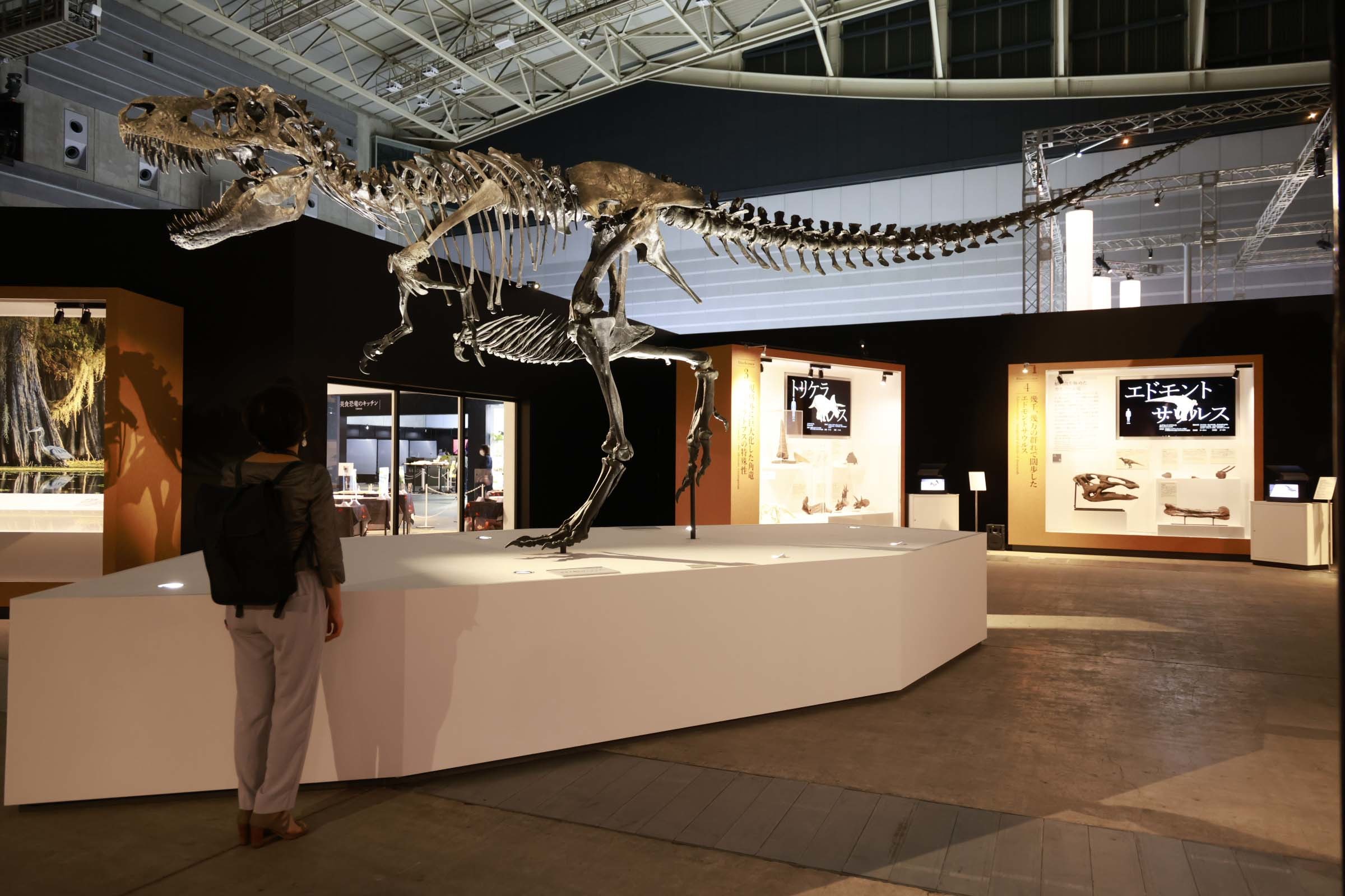 ゴルゴサウルスもまさか2021年の横浜に立つことになるなんて思ってもみなかっだろう