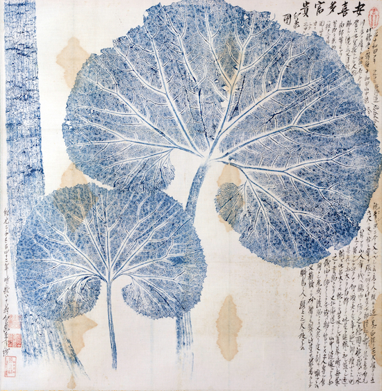 宮越精之進摺・伊藤圭介識《安喜多富貴印葉図》1882年 名古屋市東山植物園蔵