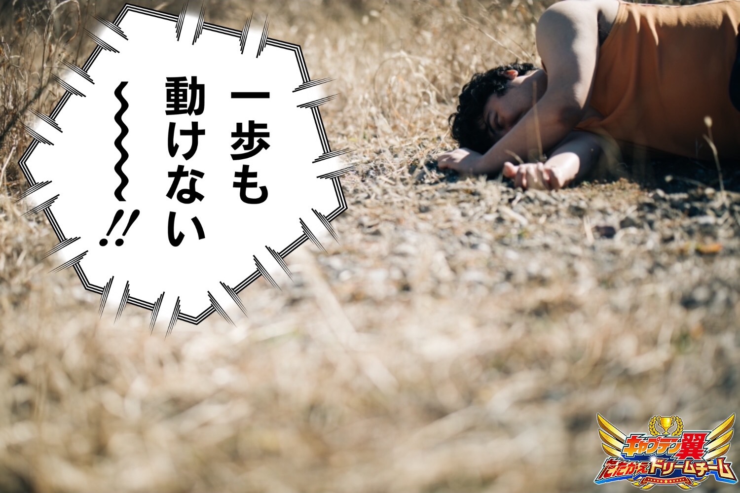 使用例 (C)高橋陽一／集英社 (C)高橋陽一／集英社・テレビ東京・エノキフィルム(C)KLabGames