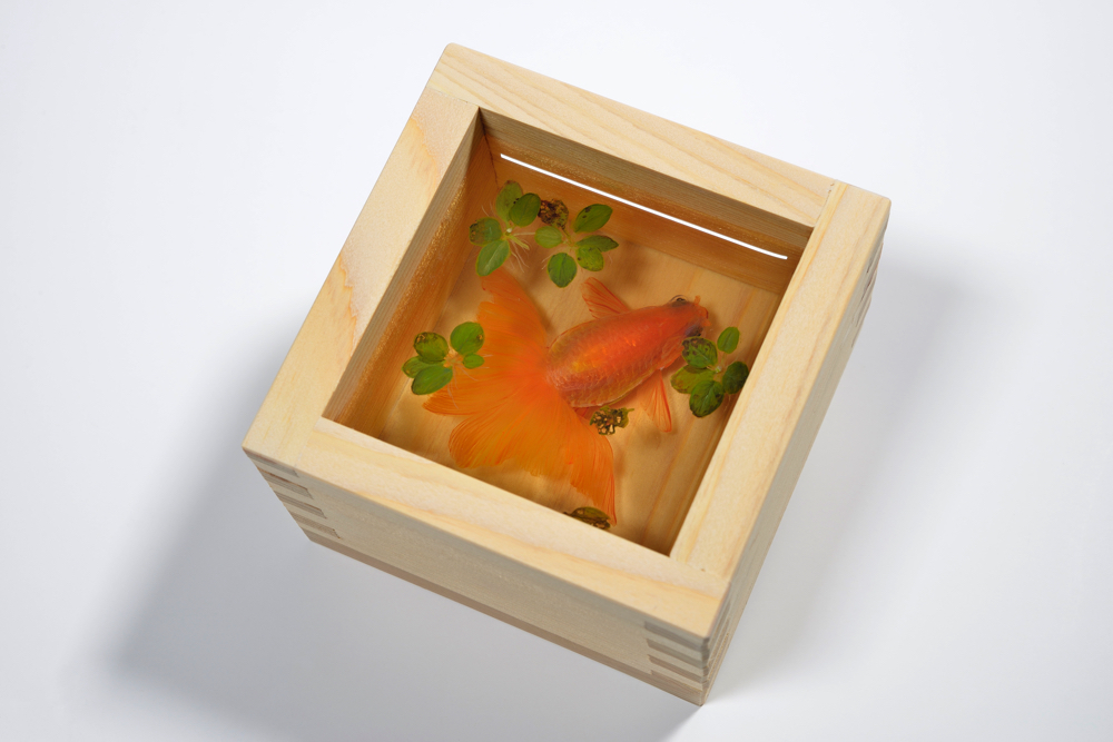 金魚絵師・深堀隆介の新作 金魚酒「夕奈」