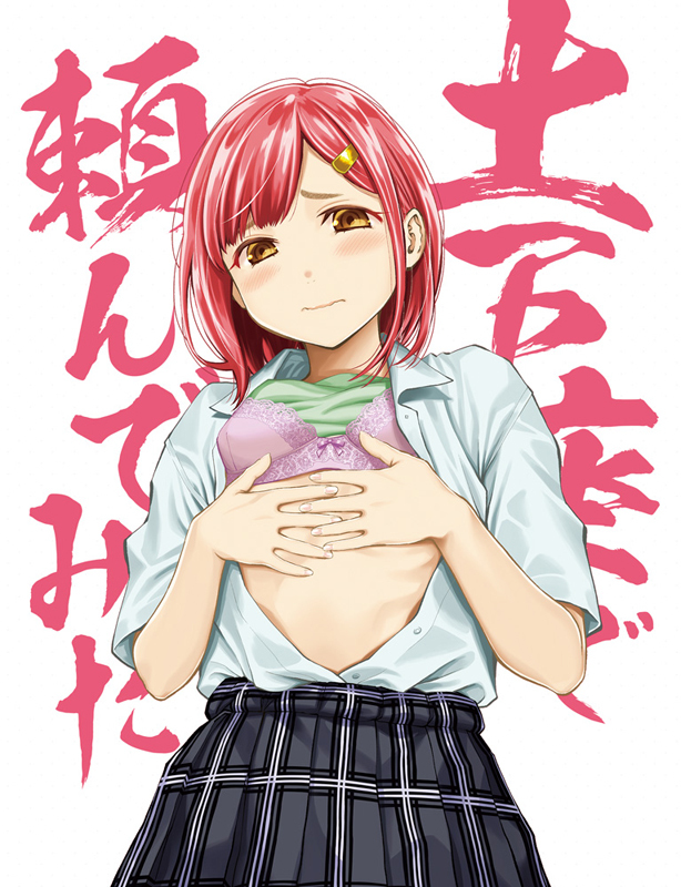 土下座で頼んでみた Blu-ray 本気で頼んでみた版　ジャケット (c)ふなつかずき / DMM pictures