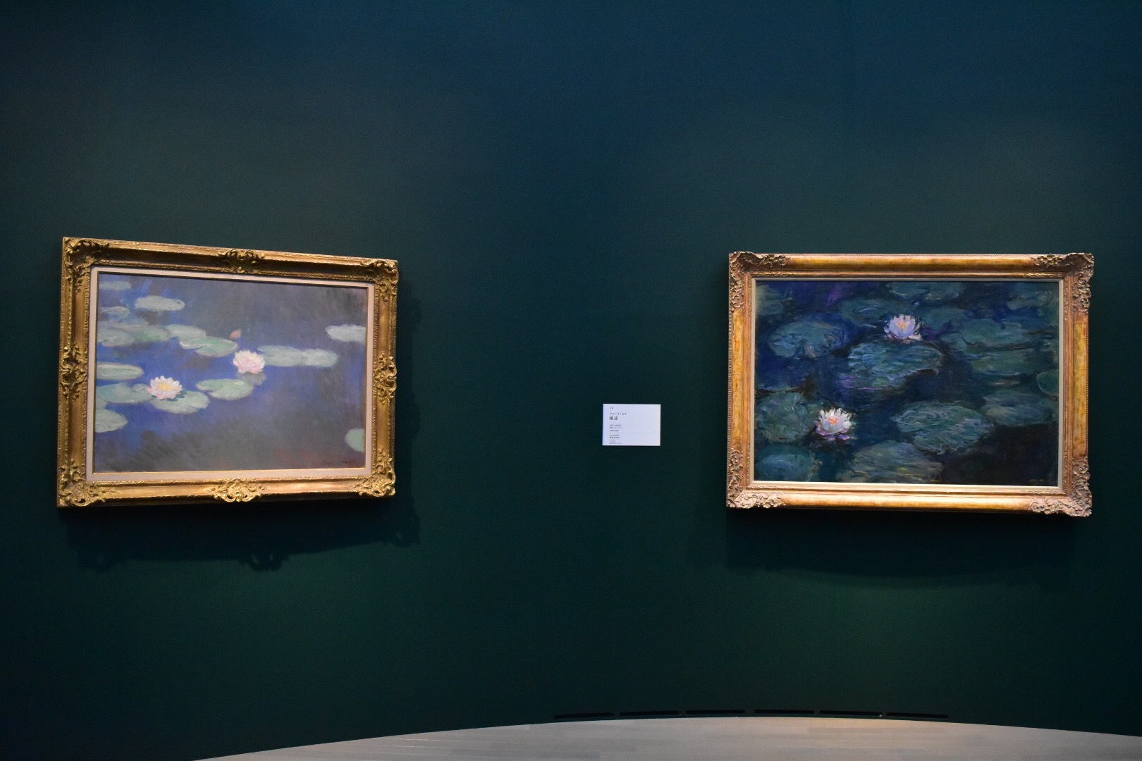 左：クロード・モネ　《睡蓮》1897-98年　個人蔵　右：クロード・モネ　《睡蓮》1897-98年頃　鹿児島市立美術館