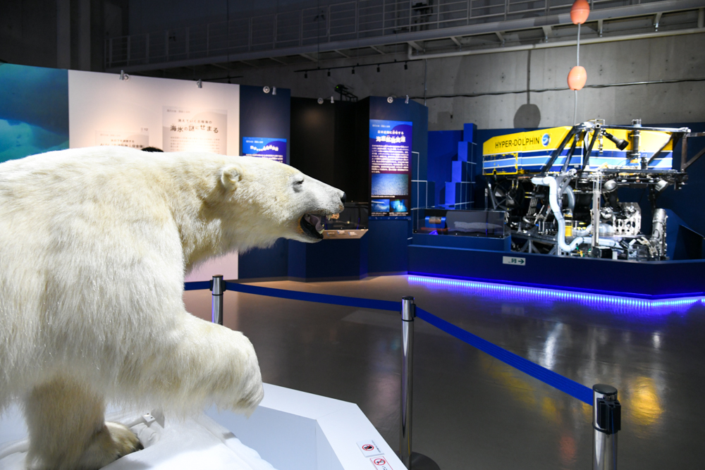 第3章「海からのめぐみ」の展示風景