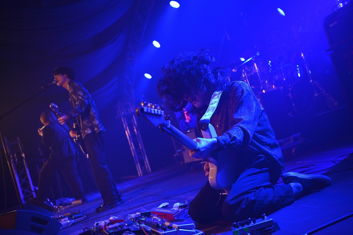 Ivy to Fraudulent Game