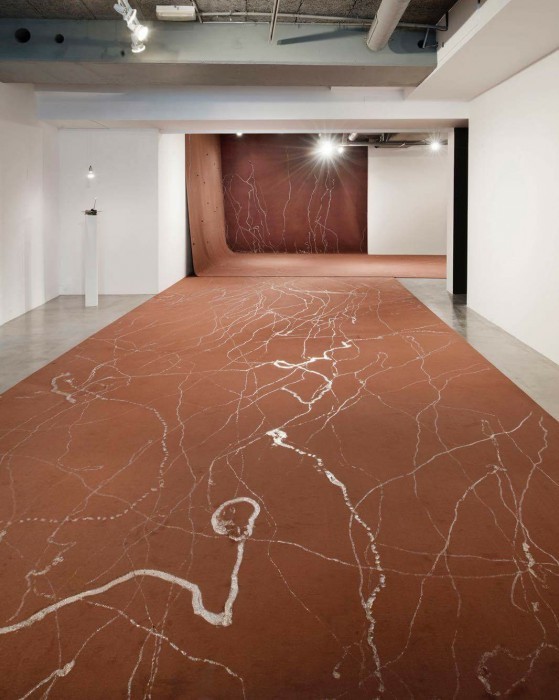 Le lâcher d’escargots |2009 かたつむり、カーペット|サイズ可変| Edition 2/3 Snails, carpet |Dimensions variable | Edition 2/3 Photo: Martin Agyroglo / Frac Île-de-France, Paris Courtesy of the artist and ART :CONCEPT,Paris ©girls Artalk