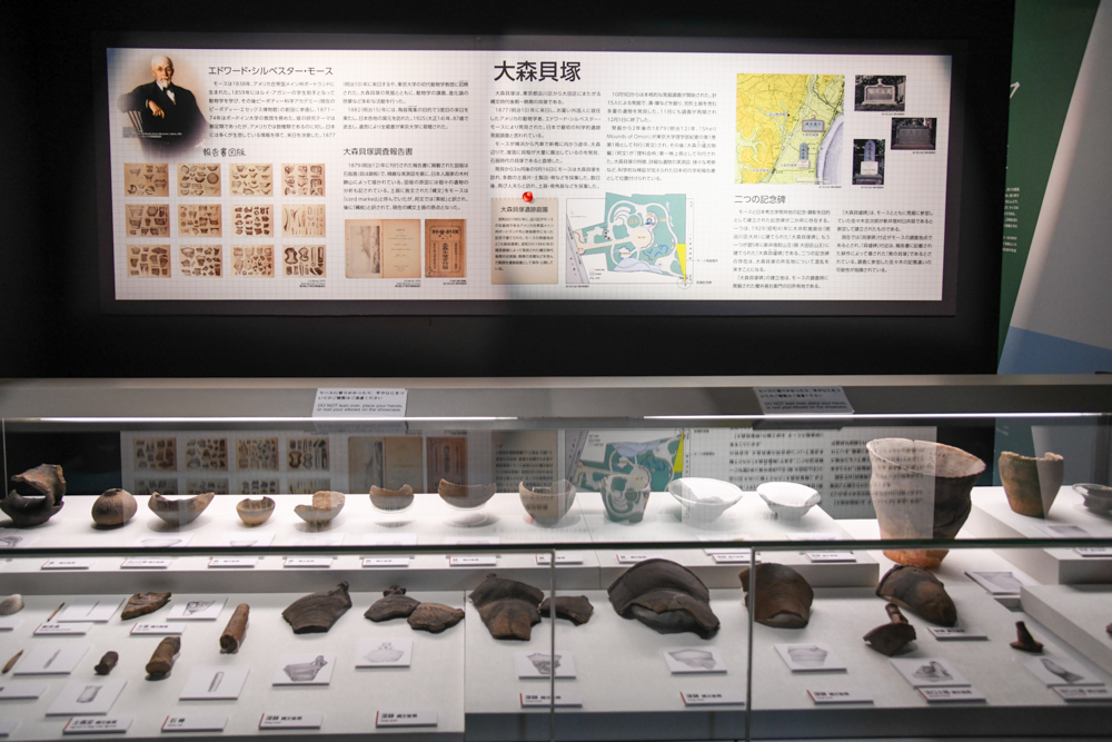 「大森貝塚」の展示