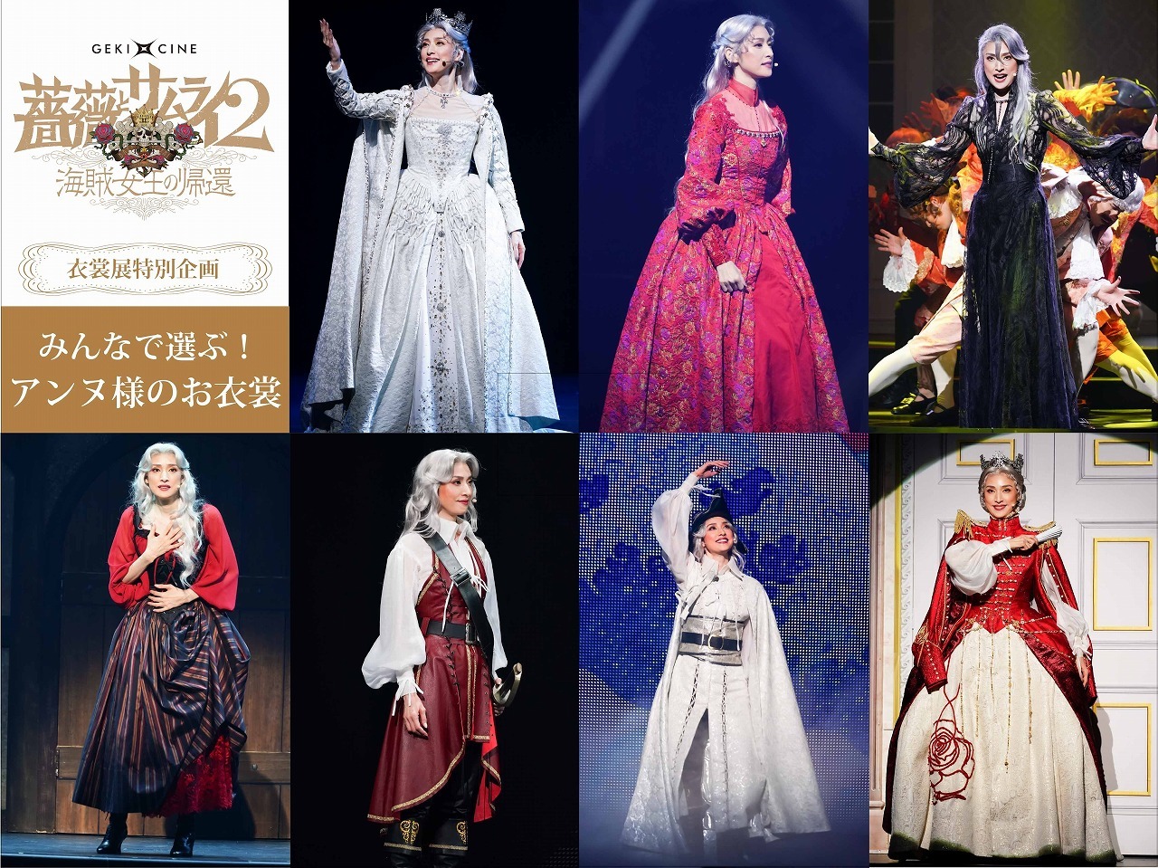 新感線 薔薇とサムライSpecial edition DVD3枚 天海祐希 女王 DVD