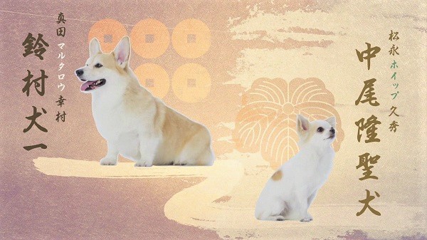 (C)目黒川うな/NSP,織田シナモン信長製作委員会
