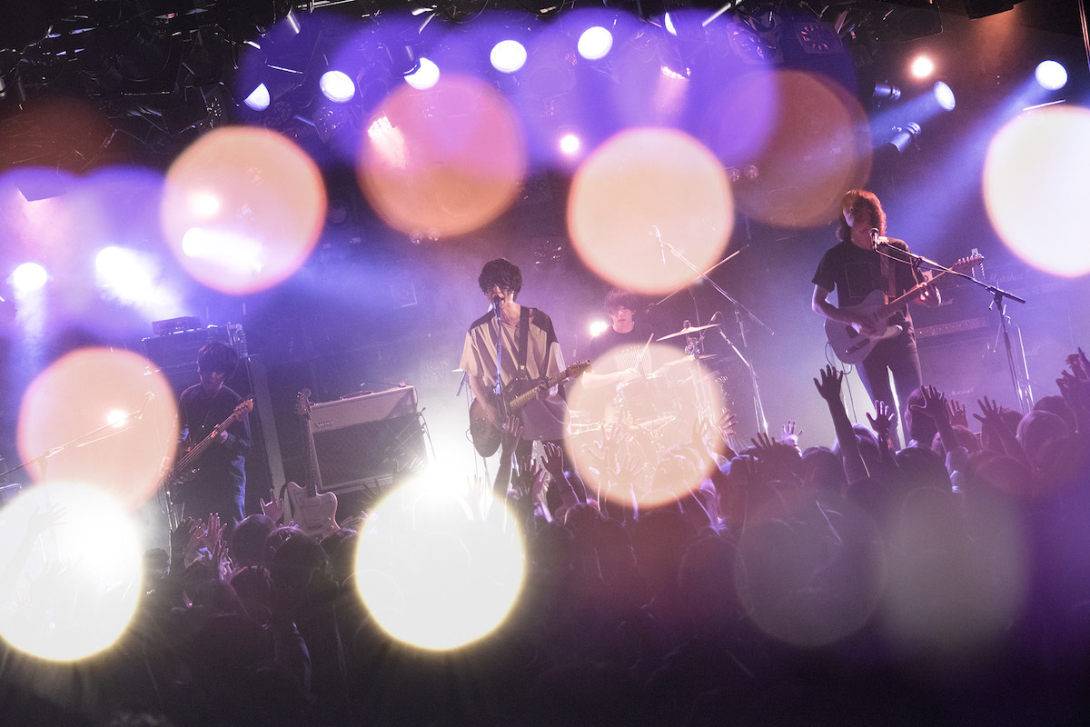 polly photo by Daisuke Miyashita
