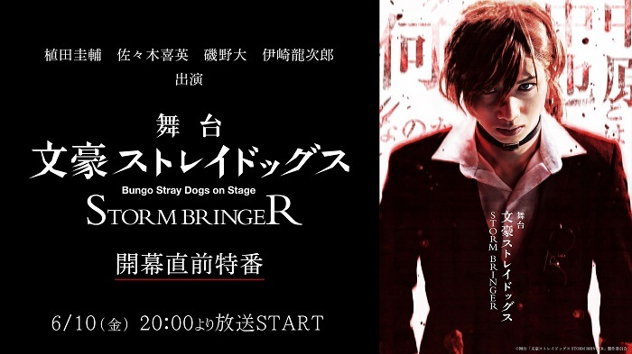 オープニングセール】 舞台 文豪ストレイドッグス STORM BRINGER DVD