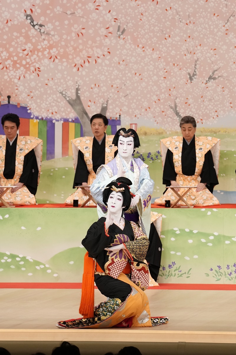 昼の部『元禄花見踊』（前）出雲の阿国＝尾上右近、（後ろ）名古屋山三＝中村隼人 ／(C)松竹