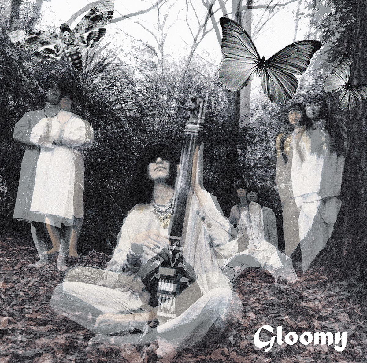 ドレスコーズ 特典 毛皮のマリーズ「Gloomy」特典DVD-