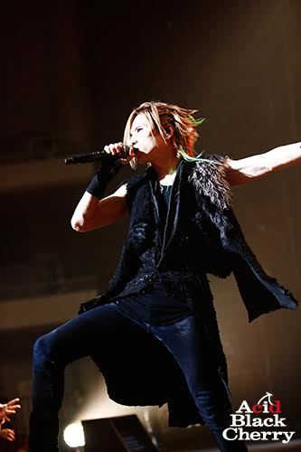 Acid Black Cherry