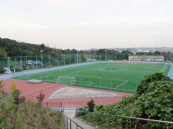2015年9月に完成した帝京大陸上競技場。トラックには世界選手権などで使用される材質「スーパーX」を採用している