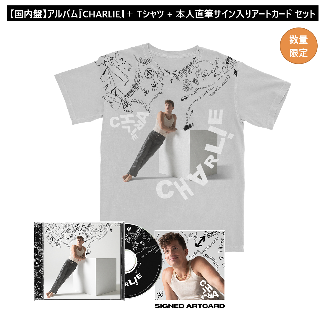 CHARLIE PUTH チャーリープース 2018 ツアー Tシャツ Lサイズ - トップス