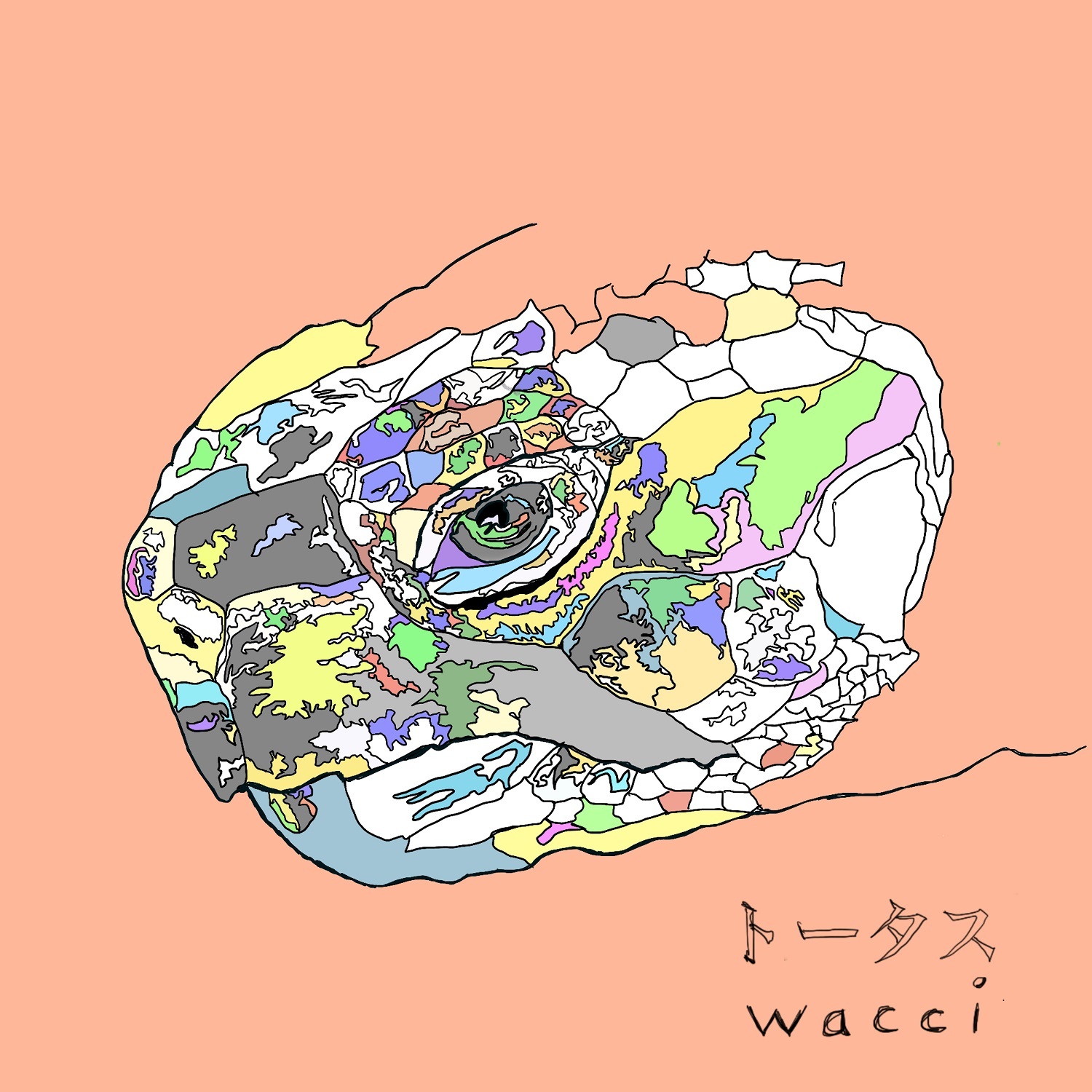 wacci「トータス」ジャケット写真