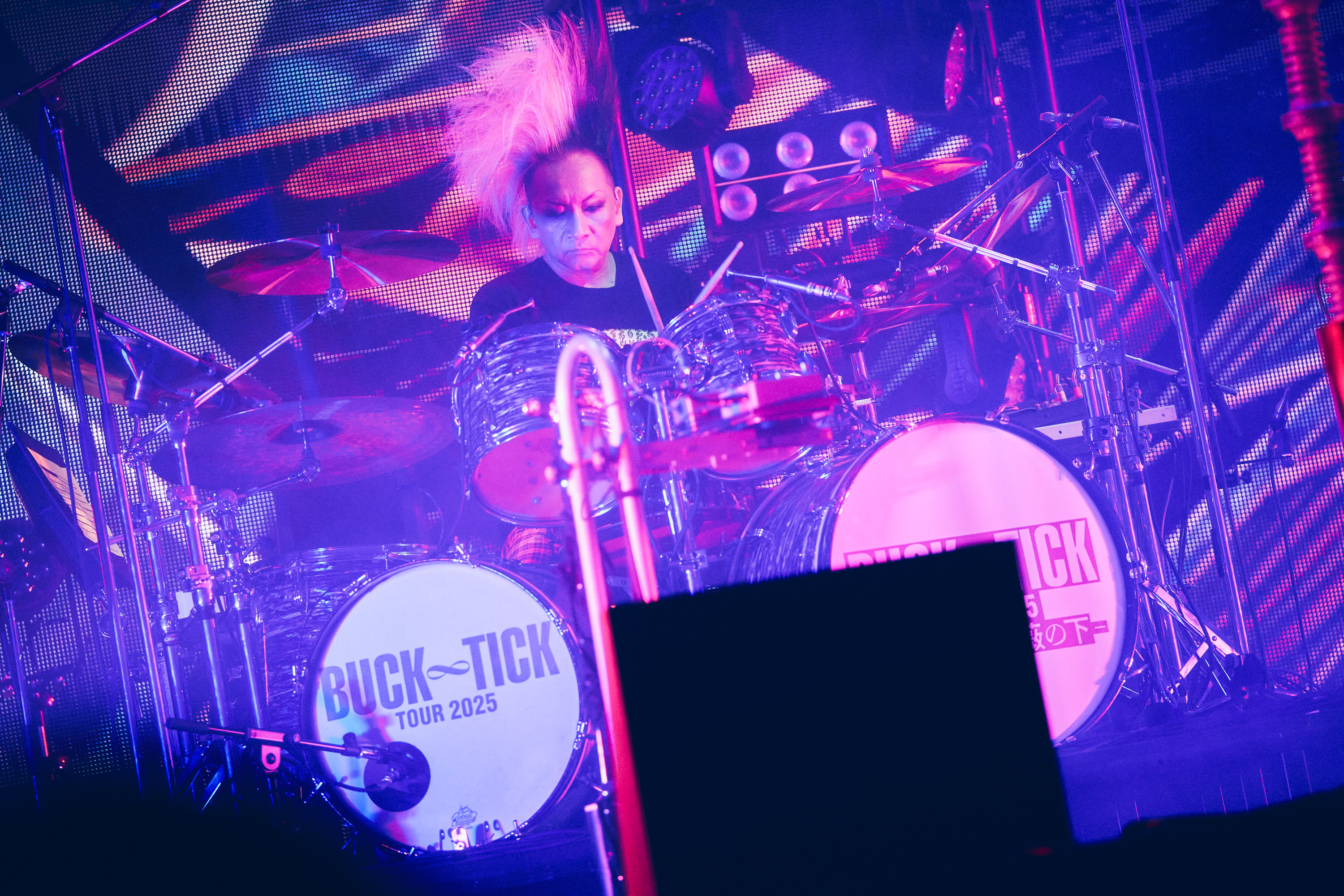 撮影＝山川哲矢