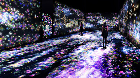  『花と人、コントロールできないけれども、共に生きる - A Whole Year, Dark』teamLab, 2015, Interactive Digital Work